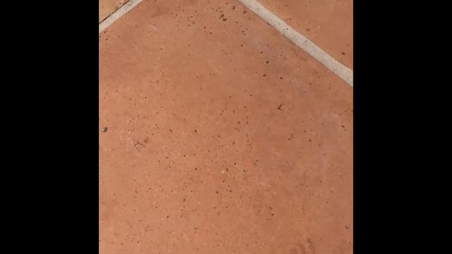 Can Saltillo Tile Be Sanded | Sanding Terracotta Tiles смотреть онлайн