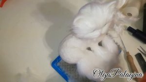 Игрушка из шерсти. Мастер класс по валянию из шерсти. Кошечка Снежинка.