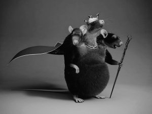 ОТ ВРЕДИТЕЛЕЙ В ДОМЕ. ОТ КЛЕЩА. ОТ НАСЕКОМЫХ. ОТ МЫШЕЙ.  ДЛЯ ВСЕХ. ВЕДЬМИНА ИЗБА. ИНГА ХОСРОЕВА.mp4