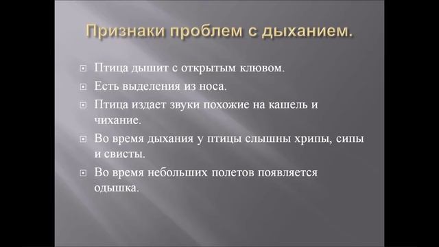 Первый бесплатный вебинар для владельцев птиц. Доврачебная помощь птице в домашних условиях смотреть онлайн