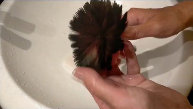 Как правильно мыть кисти для макияжа смотреть онлайн