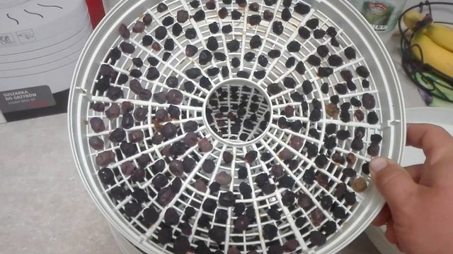 DIY Мастерская