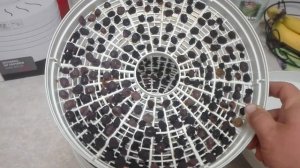 КАК СУШИТЬ ВИНОГРАД НА ИЗЮМ /// КУЛИНАРИЯ /// В ДОМАШНИХ УСЛОВИЯХ БЫСТРО!