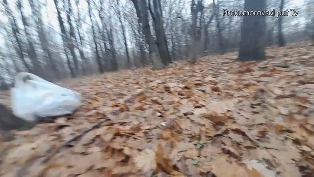 PO KISI BERBA GLJIVA PUZEVICA-PUNA IH JE SUMA! смотреть онлайн