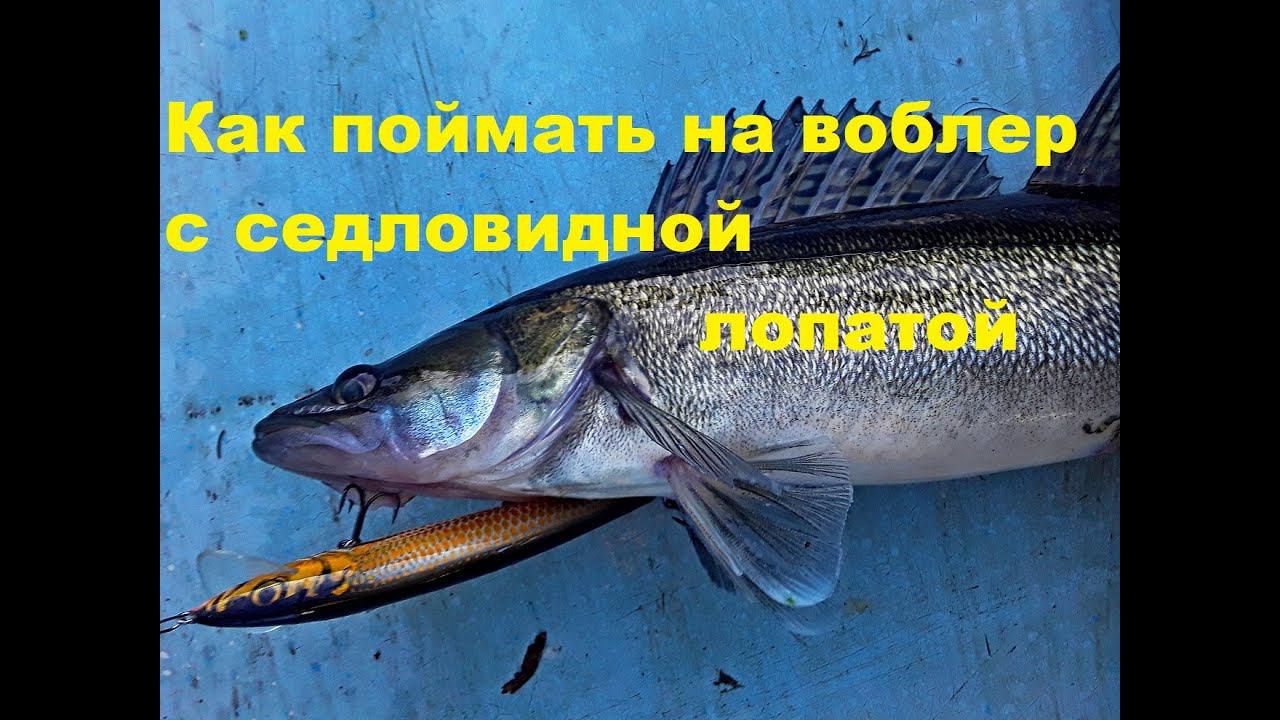 Как поймать на воблер с седловидной лопатой смотреть онлайн