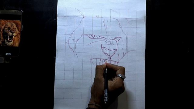 How to draw angry Lion face смотреть онлайн