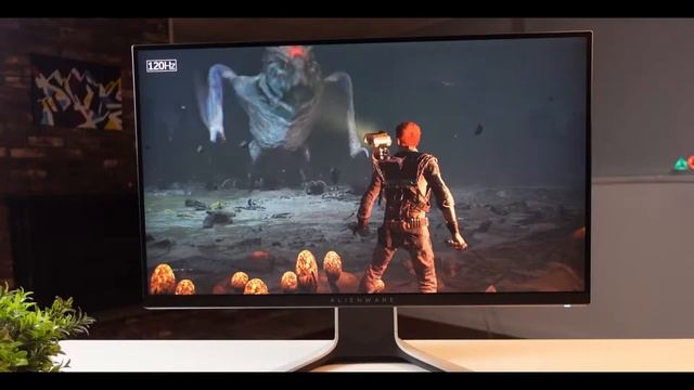 Top 5 Best 240Hz Gaming Monitor In 2022 смотреть онлайн