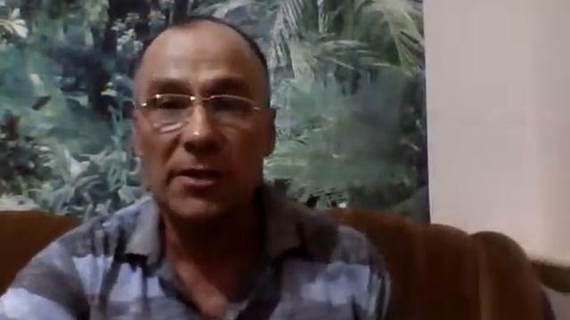 Почему мы пилим сырую березу на дрова.Обо всем. смотреть онлайн