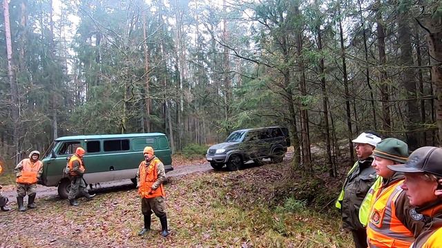 Загонная ОХОТА. 13 ноября 2021г.