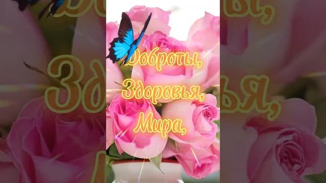 С юбилеем смотреть онлайн