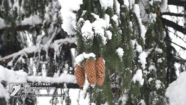 Белореченск. смотреть онлайн