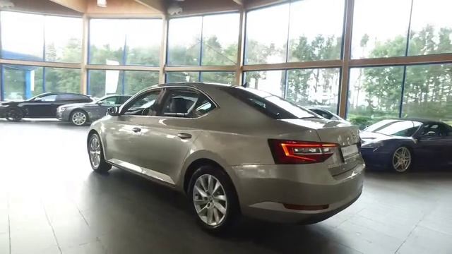 Skoda Superb 2.0 TSI DSG Style Navi Leder 18
