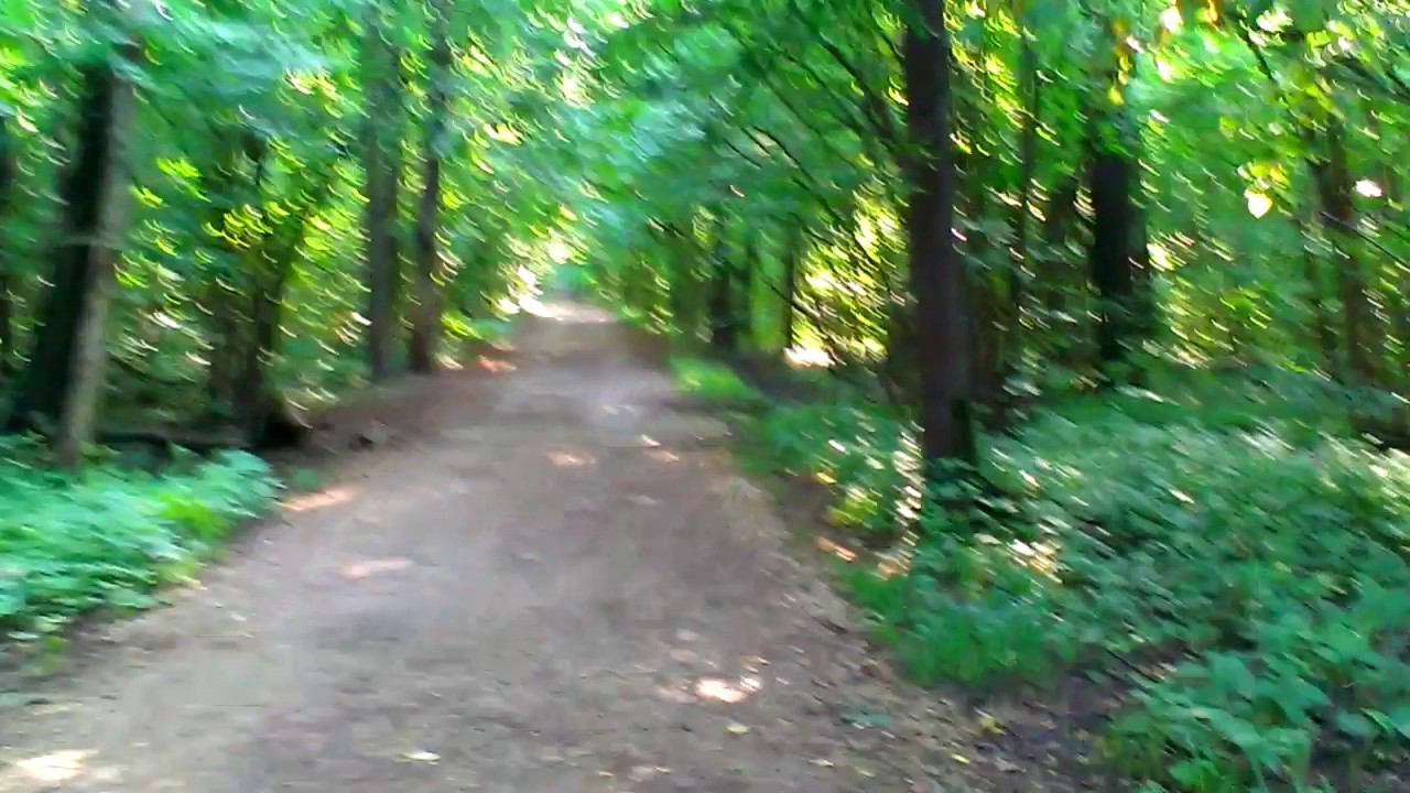 Аллея смотреть онлайн