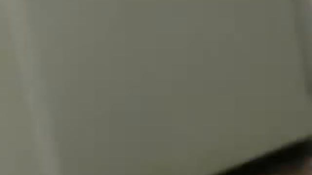 Мир Разнообразия