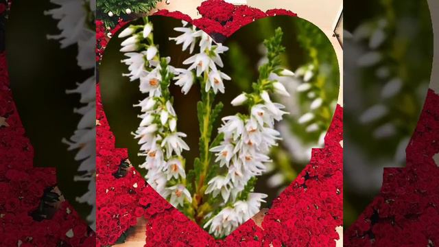 Игорь Кибирев*Судьбе вопреки* смотреть онлайн