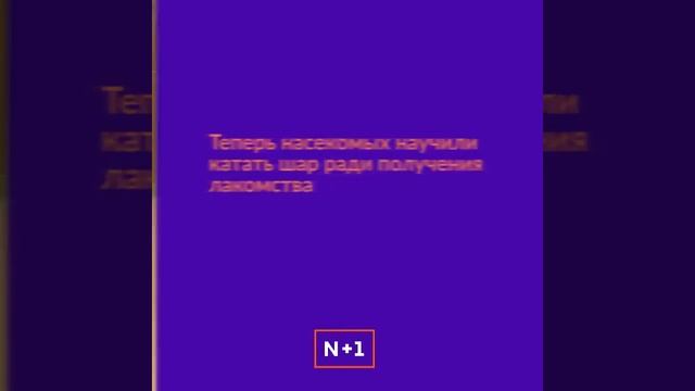 Про шмелей смотреть онлайн