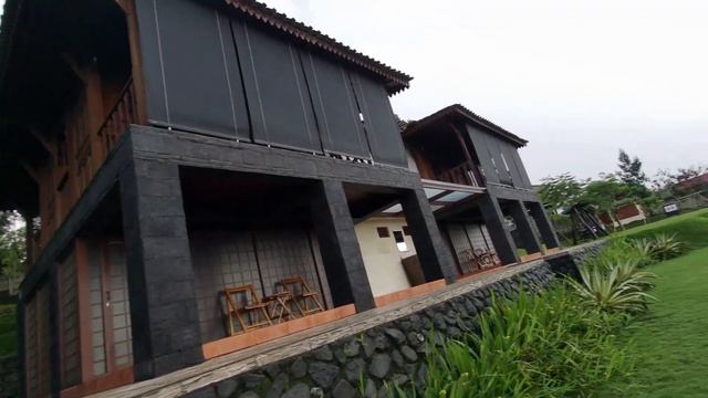 Cafe Monstera Alam Ngariung Ciapus Bogor смотреть онлайн