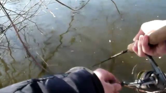 Ранняя весна на городской реке - отчет за 9 марта 2015 смотреть онлайн