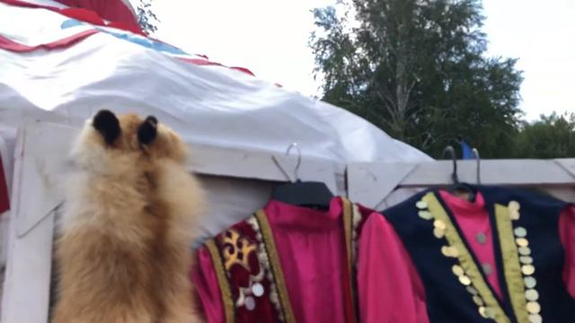 Сабантуй. Гостеприимный Баймак смотреть онлайн