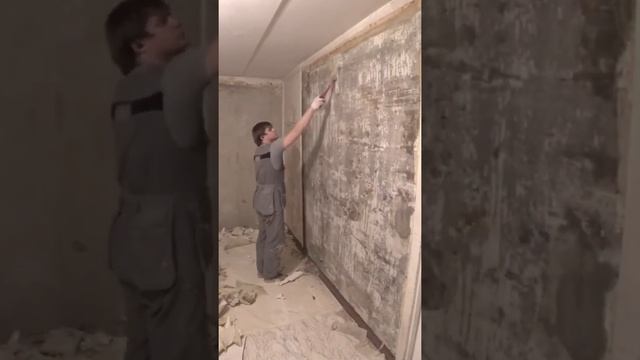 Снятие виниловых обоев шаг за шагом смотреть онлайн