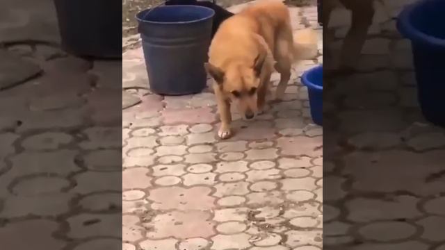 фунтик??? смотреть онлайн