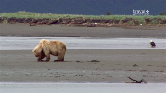 4 серия смотреть онлайн