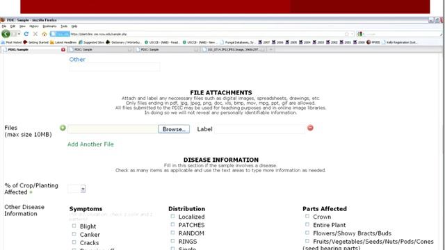 2013-04-23 Plants Pests and Pathogens-Garden Photography смотреть онлайн