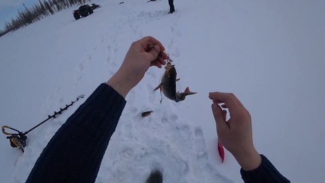 Клевая рыбалка на окуня на северных озерах !!! смотреть онлайн