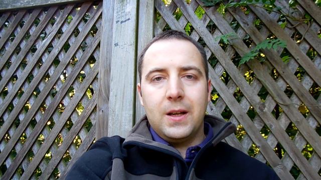 Демонстрация партии "Правые" в городе Вупперталь, Германия. 05.10.2013 смотреть онлайн