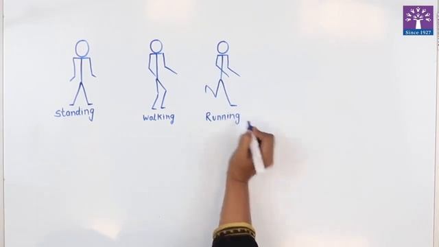 Activity 7 - Stick Figures смотреть онлайн
