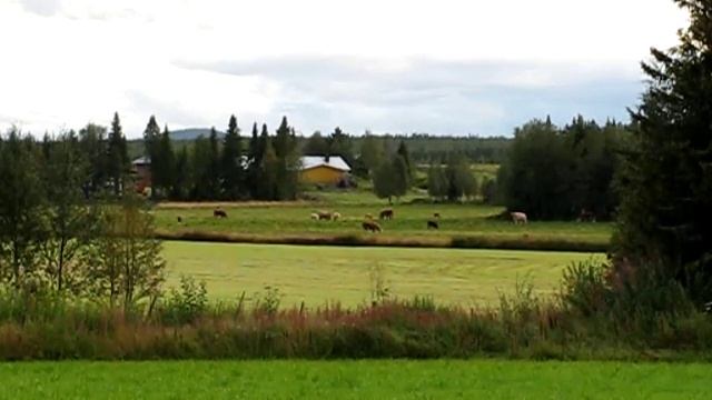 Canon Powershot SX110 IS Video test. смотреть онлайн