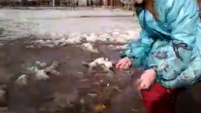 Репортаж у школы 368 Купчино смотреть онлайн