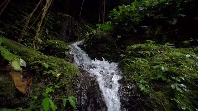 waterfall||music||listen enjoy смотреть онлайн