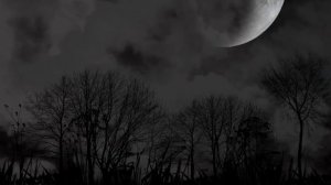 Звуки воя волка. Sounds of howling wolf. Ночь в пещере. Музыка для сна