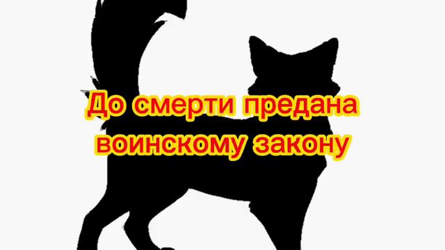 Тест "угадай кота - воителя по характеру" смотреть онлайн