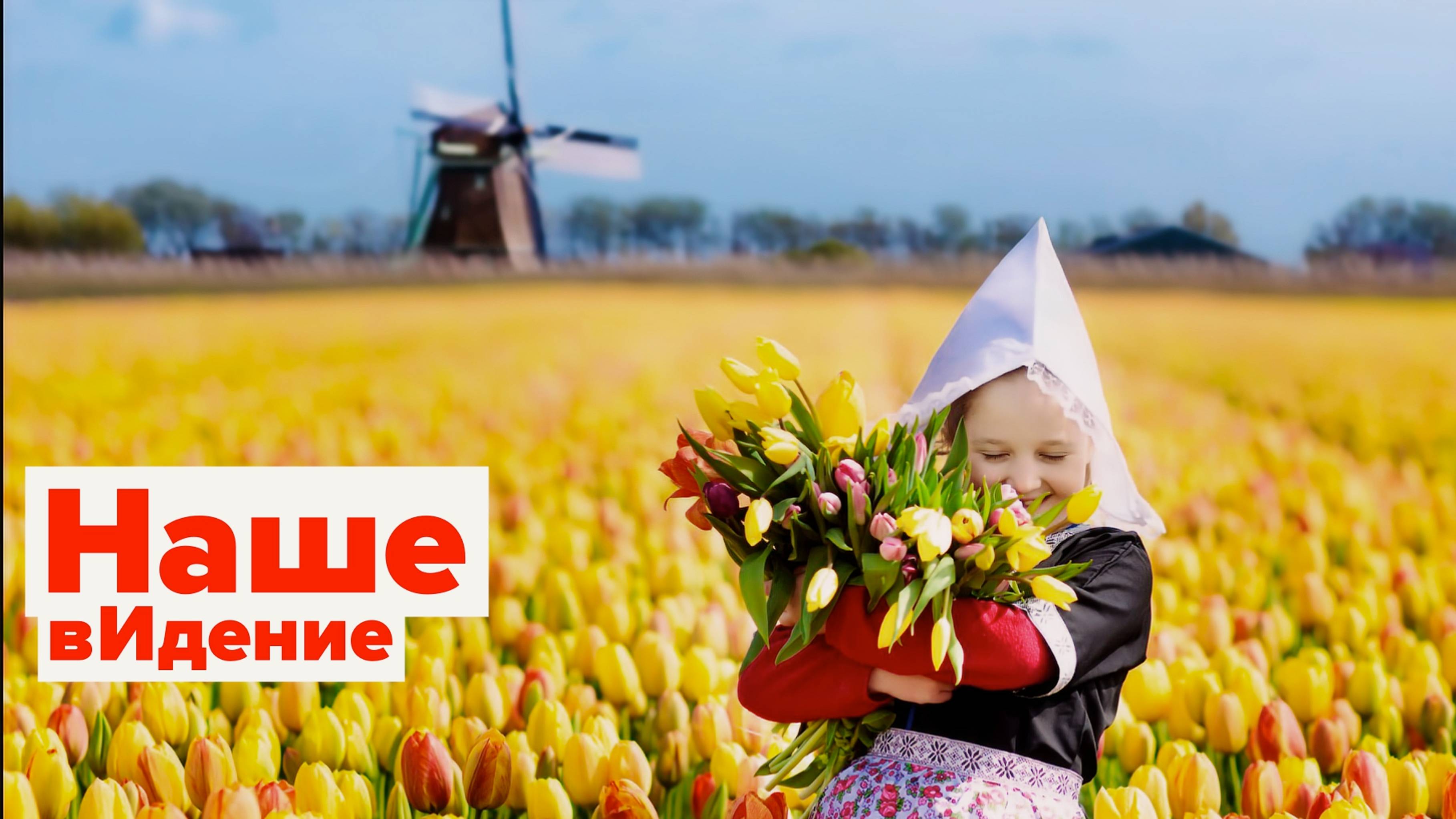 Вернёт Голландии новое правительство старую жизнь? смотреть онлайн