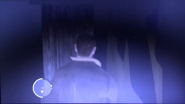 GTA IV: Нико хозяйничает в чужой хате