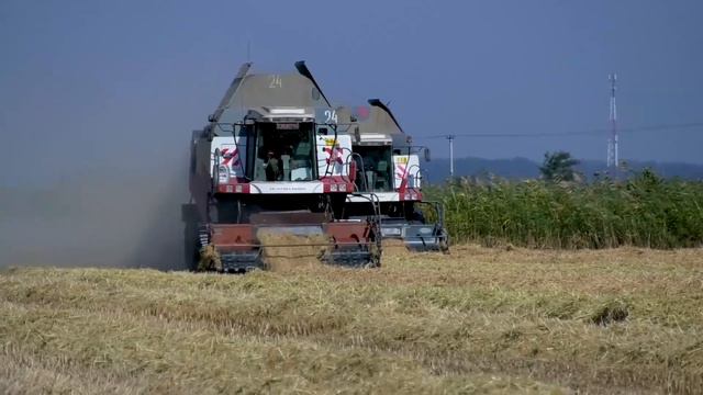 Встреча главы Крымского района с учителями смотреть онлайн