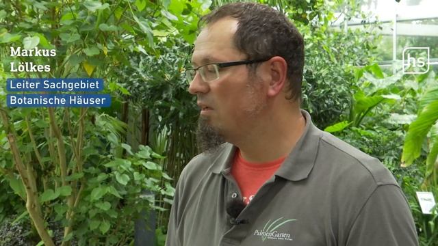 Titanenwurz im Frankfurter Palmengarten | hessenschau смотреть онлайн