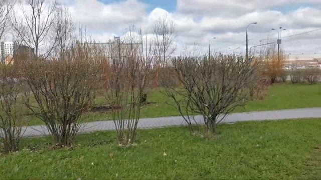 Рынок на Дубровке и мой салон красоты. смотреть онлайн
