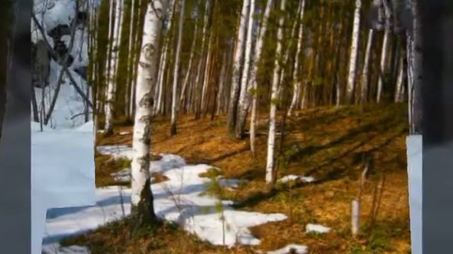 Русь Матушка во всей красе смотреть онлайн