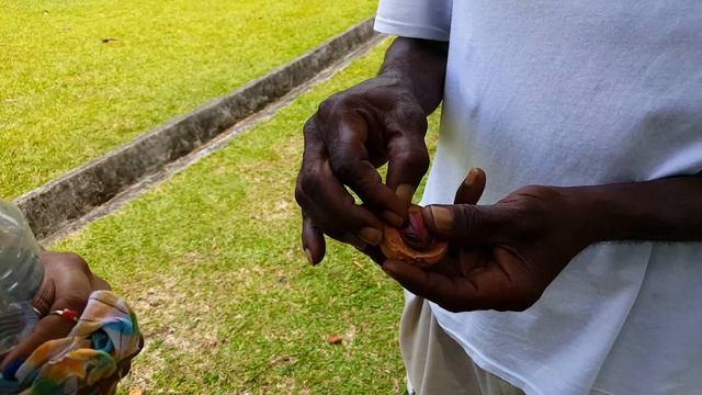 VLOG: Talking to Birds in St. Vincent #beautyofst.vincent | JoshuaTVOfficial смотреть онлайн