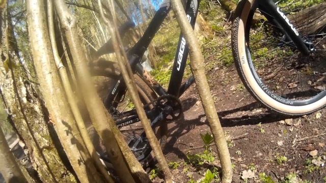 Теплый Wild Ride // MTB ALLMOUNTAIN смотреть онлайн