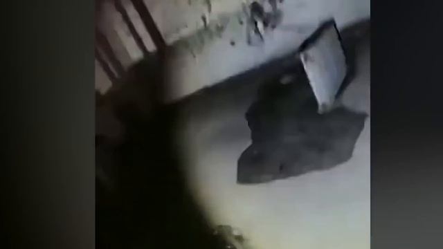 10 Видео, Которые Напугают 99% Людей смотреть онлайн