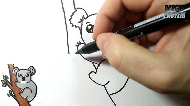 Как нарисовать КОАЛУ, Просто рисуем смотреть онлайн