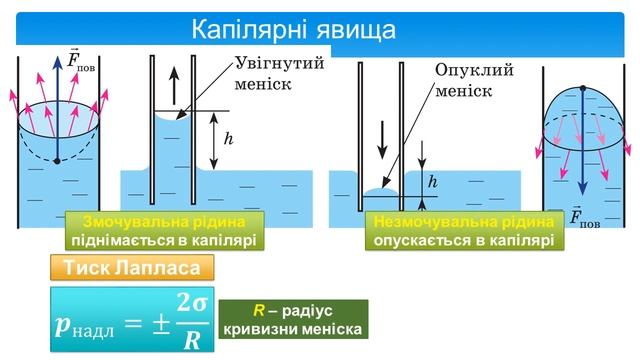 ОНВК "Гімназія №7". Фізика. 10 клас. Поверхневий натяг рідини. Змочування. Капілярні явища смотреть онлайн