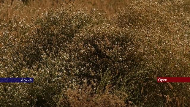 14082023 Жители ОЗТП в Орске самостоятельно привели в порядок детскую площадку на Космонавтов смотреть онлайн