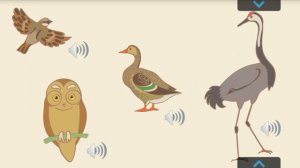 Какие птицы улетают зимовать в теплые края