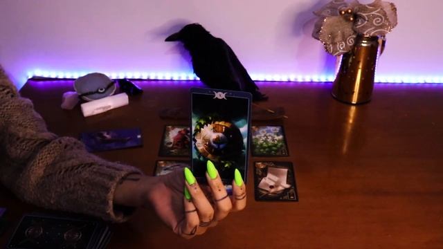 DIVINE JUDGEMENT ? THE JOKES ON THEM! YOU WILL HAVE THE LAST LAUGH! #tarotreading смотреть онлайн