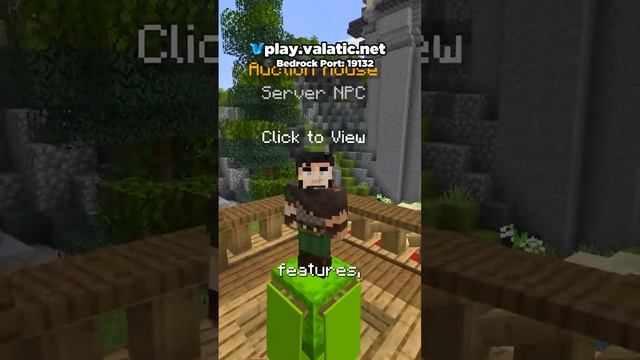 NEW Public Minecraft SMP Server 1.20 (Free to Join) смотреть онлайн